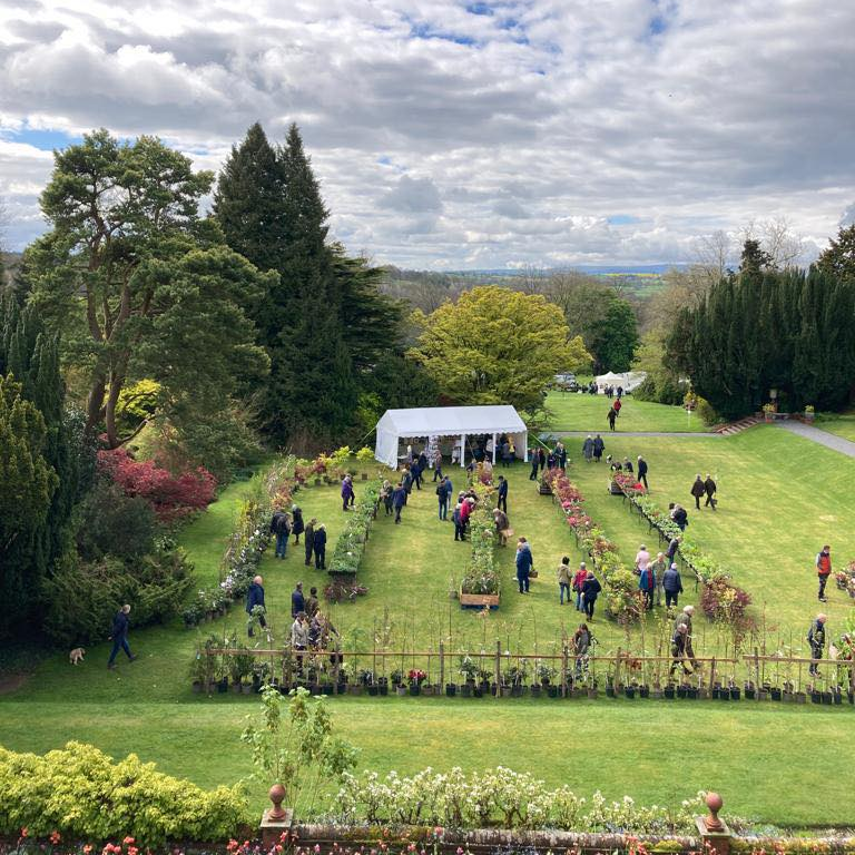 An aerial shot of an event in the gardens with. long tables displaying flowers and plants. A marquee behind and lot's of people milling around