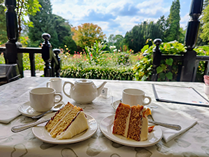 2 slices of cake, a teapot and cups on a table with the gardens in the background
