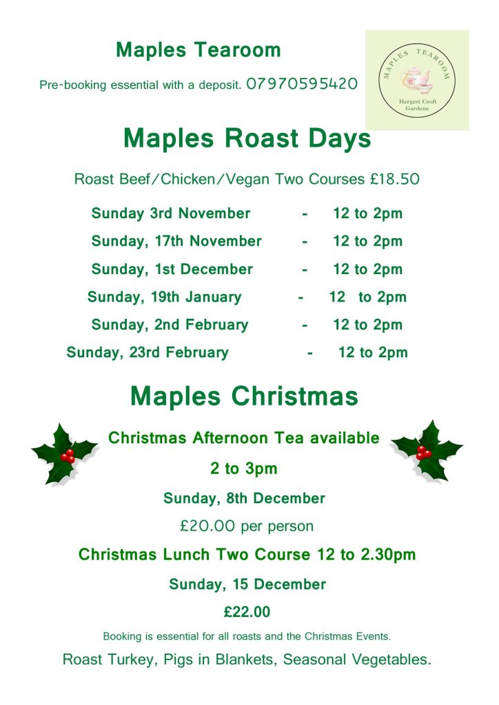 Roast Dinner and Xmas Meal Flyer